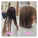 303 | 🌸수원조원동미용실 리안헤어 북수원조원점에서 인생단발컷 완성, 5년 긴머리에서 단발로! ✂️내돈내산