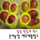 은서농장 이미지