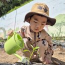 꽃무지풀무지유치원 이미지