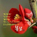 3월 6일(금) WBC 발족 경위 및 어제 월드베이스볼클래식(WBC) 개막 이미지