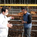 강진목장 이미지