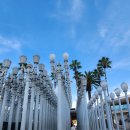 LA | 라크마 LACMA(LA 카운티 미술관)무료 관람 후기:LA 여행 필수 코스