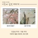 하라힐즈하가점 이미지