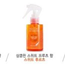 미샤헤어 Daum카페