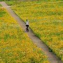 금강변길 이미지