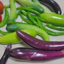 솔밭황토펜션 이미지