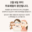 중기목장 | [중기이유식] 시판 중기이유식 스케줄 및 식단표