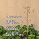 자연의 순환 티스토리