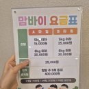 부산애견호텔 강아지 유치원 맘바이 서면본점 이미지
