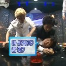 백두산동물병원 | 밝아지면 또 다른 것이 보이고