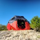 청정장어 이미지