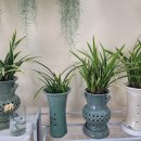 하이타운약국 이미지