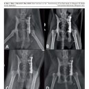 청라공감동물병원 이미지