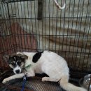 중앙동1길 이미지