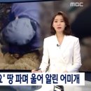 [단독] &#39;내 새끼 꺼내주세요&#39; 땅 파며 울어 알린 어미개 이미지