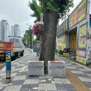 송림쉼터 IPN뉴스