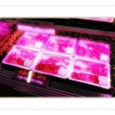 백미식당 이미지