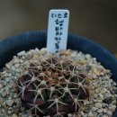 성호농장2 이미지