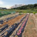 화영농장 이미지