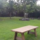 킹스통나무 이미지