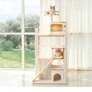 포레스트캣 이미지