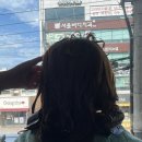 찰스헤어두 - 전주시 완산구 | 찰스헤어두