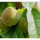 예천무학정 이미지