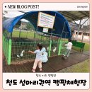 축구센터 다목적광장 | 4살, 7살 아이와 함께한 청도 섶마리권역 다목적광장캠핑체험장 1박 캠핑 | 키즈캠핑 명소 추천
