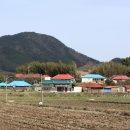 주야1리마을회관 이미지