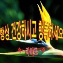 인연 이미지