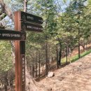 대신공원 숲길 이미지