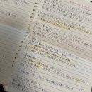 (주)웰리브 다정도시락 | 면접 전 나의 일상을 모아모아