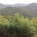 머스마