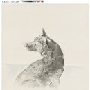 NR-34[서해로]-하-72 | [모집중] [푸른숲] 개 서평단 모집