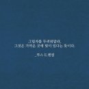 안양권투체육관 이미지