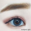 다비치안경증평송산점 이미지