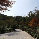 강화초지인삼센터 네이버블로그