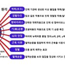 뉴레파프로인천검단점 네이버블로그