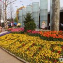 예스김밥카페 이미지