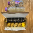 휴고김밥