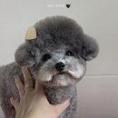 러브몽먼트 이미지