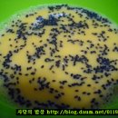 무지개계란 이미지