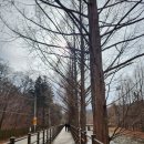 성화당구장 이미지