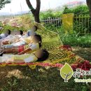 입장초등학교 병설유치원 이미지