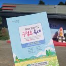 덕사리구절초마을 | 충북 가볼만한곳 가을 꽃축제 2024 괴산 구절초축제 관람후기, 먹거리, 할로윈 포토존
