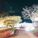 이다의숲 이미지