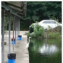 왕골낚시터 | 2013년7월21일 왕골낚시터 쵸칭양당고(오와세),쵸칭다테사소이,아사다나 도로로셋트