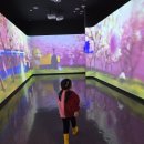 청도산들별 | 청도 가볼만한곳 소싸움 미디어센터 방문 후기 대구근교 아이랑 실내