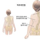 고려정형외과 이미지