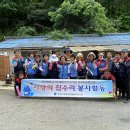 봉화군치매안심센터 이미지